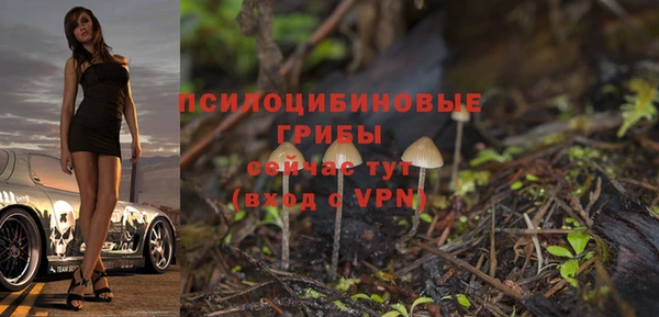 экстази Сафоново