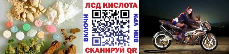 мега онион Могоча LSD-25 экстази кислота нарко площадка состав закладки